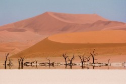 Taman Nasional di Afrika Selatan Ini Disebut Tempat Alien