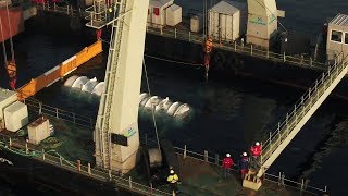 Keren, Microsoft Simpan Data di Bawah Laut
