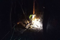 Hati-Hati Bakar Sampah, Hutan di Gunungkidul Sudah Sering Terbakar