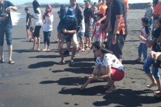 NLC Ajak Anak-Anak Lepasliarkan Tukik di Pantai Trisik
