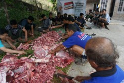 ACT DIY distribusikan 500 Kambing Kurban