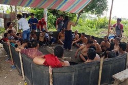 Hukuman Kocak, Penjudi Dikurung di Arena Sabung Ayam