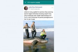 Ya Ampun... Kelakuan 3 Polisi Ini Sungguh Tidak Pantas, Mereka Berfoto Menginjak Hiu Terdampar di Parangkusumo