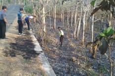 Lahan Jati di Alas Pucang Anom Gunungkidul Kembali Terbakar