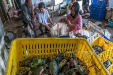 Soal Nelayan Jadi Tersangka, HNSI Minta Hukum Diberlakukan Adil