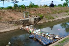 BKIPM DIY Berharap Lele Tak Dilepasliarkan di Selokan Mataram, Ini Alasannya