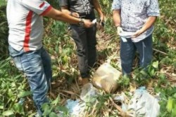Ribuan E-KTP dan KK Ditemukan di Semak Belukar, Ternyata Ini yang Terjadi