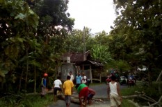 Sebentar Lagi Pancaroba, Awas, Ini Bahaya yang Harus Diwaspadai