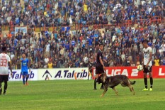 PERSIBA BALIKPAPAN VS PSIM JOGJA : Preview dan Prediksi 