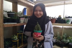 Bisnis Tanaman Imut Bermodal Rp200.000 Berbuah Jutaan Rupiah