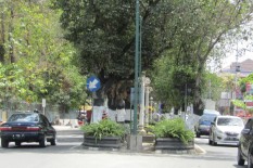 Danais Cair, Bulevar Kotabaru Bakal Direvitalisasi