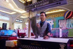  JCM Bikin Senang Para Pencinta Kucing