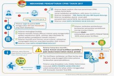 Portal SSCN CPNS 2018 Gagal Dibuka? Ini Solusinya