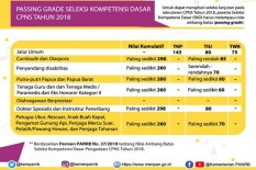Sangat Terbatas, Setkab Hanya Buka 34 Formasi CPNS, Setneg 82 Formasi