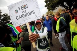 Soal Ganja, Giliran Afrika Selatan Melegalkan