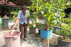 Pegawai Honorer di Bantul Nyambi Antar Anak Sekolah untuk Tambah Penghasilan