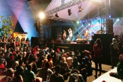 Sand Dunes Museum in Harmony, Ada Keseruan di Gumuk Pasir