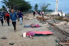 Ini 10 Negara yang Antre Ingin Berikan Bantuan ke Palu dan Donggala, Ada Amerika Hingga Tiongkok