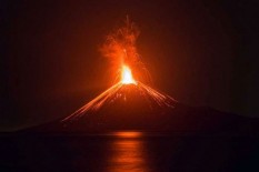 Gunung Anak Krakatau Keluarkan Letusan 156 Kali