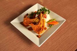Merapi Merbabu Hotel Yogyakarta Hadirkan Promo New Zealand Lamb Chop