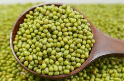 Ukuran Kecil, Kacang Hijau Indonesia Kalah Saing di Pasar Global