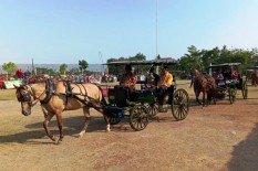 Rayakan Hari Lahir Desa, Pemdes Sumbermulyo Gelar Kirab