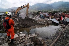 Pembangunan Palu Baru Butuh Dana Rp6 Triliun