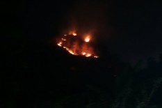 Hutan di Lanteng I Bantul Terbakar, Diduga karena Puntung Rokok Dibuang Sembarangan