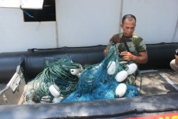 Warga Pantai Congot Cemas, 3 Ekor Buaya Berkeliaran di Muara Sungai Bogowonto