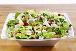 Diet Terlalu Ketat Juga Bisa Memicu Osteoporosis