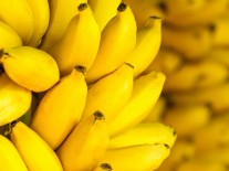 Pisang Bisa Bantu Dietmu, Perhatikan Waktu yang Tepat Menyantapnya