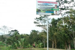 Sawah Abadi di DIY Belum Jelas
