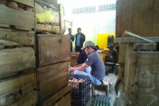 Stok Telur di Sleman Terjamin sampai Akhir Tahun