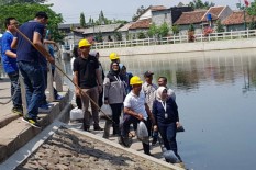 BPJS Ketenagakerjaan Jogja Lepaskan Ribuan Benih Lele ke Embung Langensari