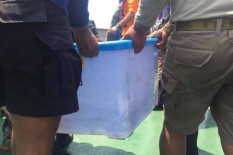 Sinyal Kotak Hitam CVR Pesawat Lion Air Ternyata Kini Sudah Mati