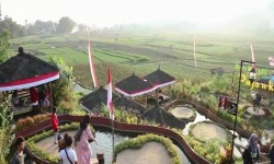 Yuk ke Pujon, Ada Kafe di Tengah Sawah yang Pemandangannya Wow