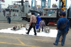 Potongan Jasad Diduga Terjebak di Rangkaian Turbin Lion Air, Petugas Masih Mencium Bau