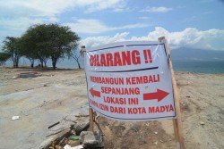 Banyak Pengungsi Bencana di Sulteng Kehilangan Pekerjaan