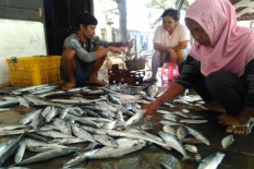 Duh, Konsumsi Rendah, Ikan DIY Justru Banyak yang Dijual Ke Luar