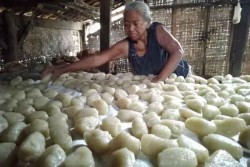 Melestarikan Krimpying, Camilan Tradisional Khas Bumi Binangun