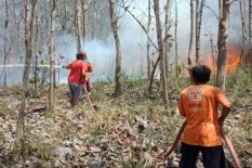 El Nino Sebabkan Potensi Karhutla 2019 Meningkat
