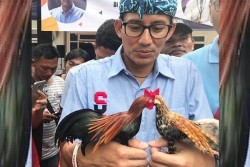Sandiaga Uno Beri Nama Ayam Mainannya Owo dan Owi, Mirip Nama Siapa?