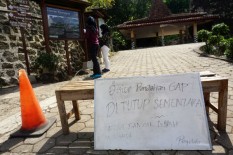 Ada Serangan Tawon Gung, Kawasan Wisata Gunung Api Purba Nglanggeran Ditutup Sementara