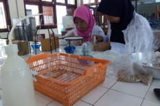 Beras Analog dari Tepung Talas Aman untuk Penderita Diabetes