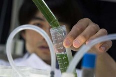 Penelitian Cambridge : Saingi Amerika Serikat, Pelajar Indonesia Paling Banyak Gunakan Teknologi Pendidikan