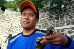 Aman dari Serangan Tawon, Gunung Api Nglanggeran Siap Dibuka untuk Wisatawan