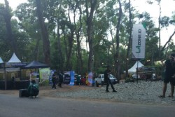 Hutan Pinus Mangunan Diserbu Pengunjung, Ternyata Puluhan Komika Tanah Air Berkumpul Di Sini