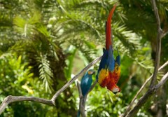 Taman Burung Ini Jadi Tempat Wisata Favorit