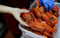 Kepiting Punya Banyak Manfaat untuk Kesehatan, Ini Daftarnya