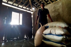 Petani Playen Keluhkan Kelangkaan Pupuk Bersubsidi